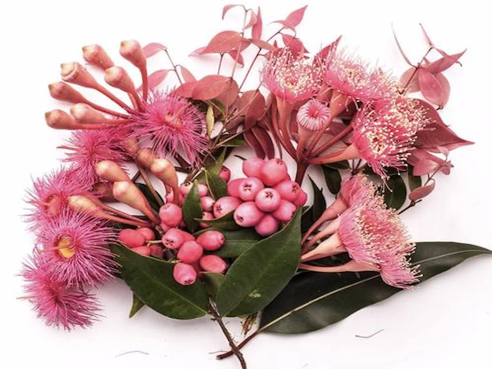 INGREDIENTS WE AVOID #2