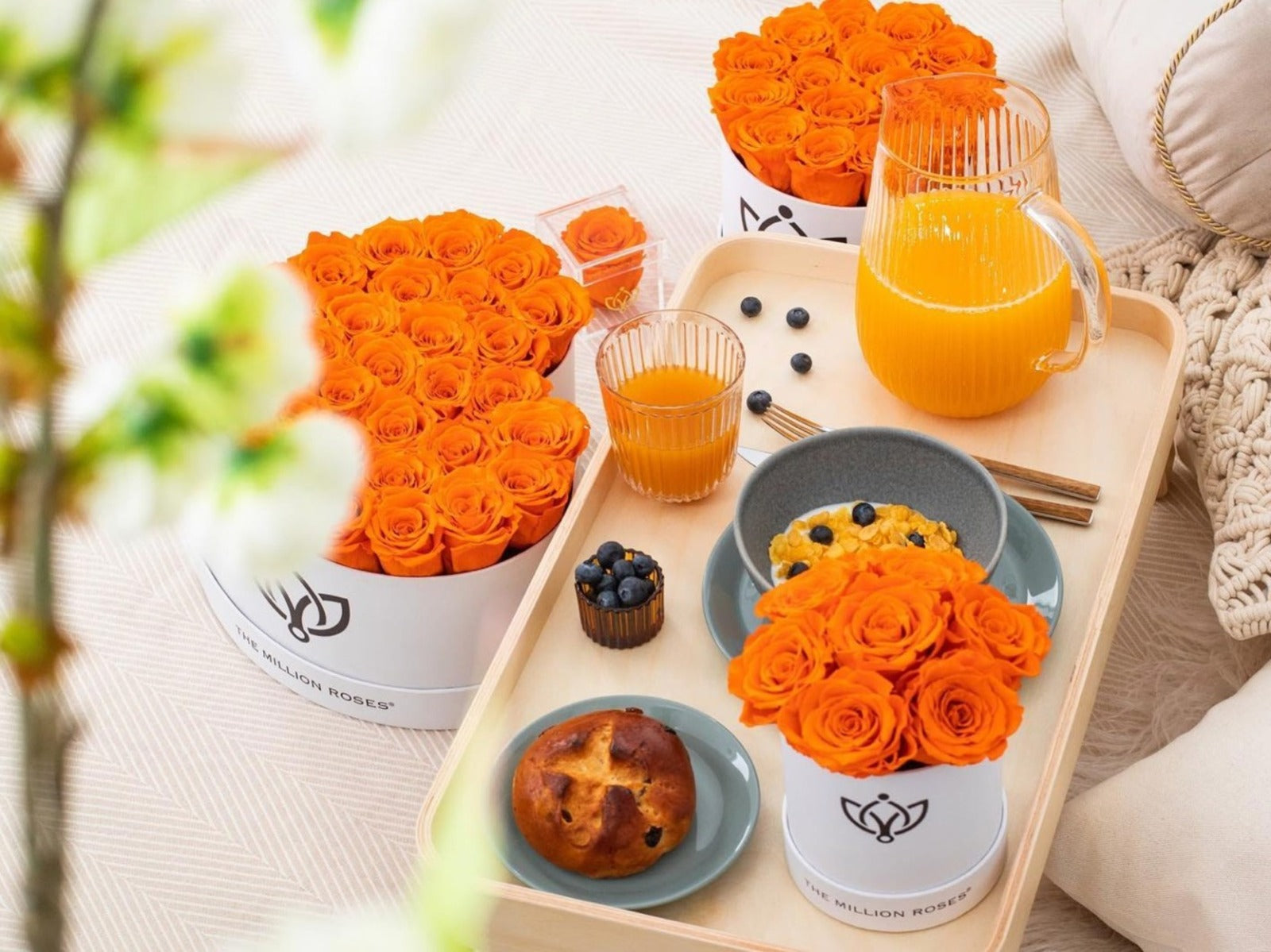 Conscious gift ideas for your loved ones