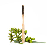STAIN REMOVER BRUSH