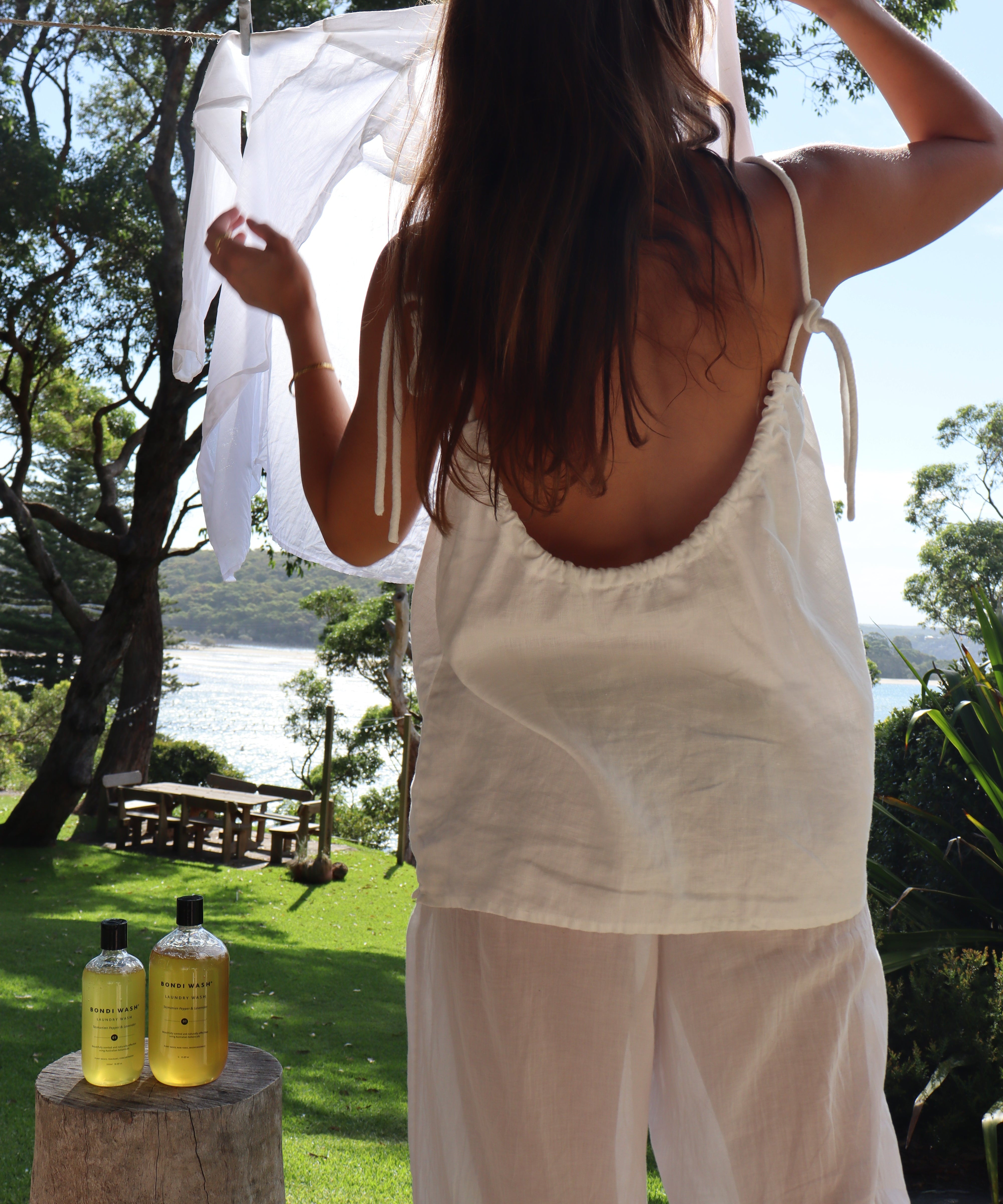 BEFORE THE HORSE ARRIVES