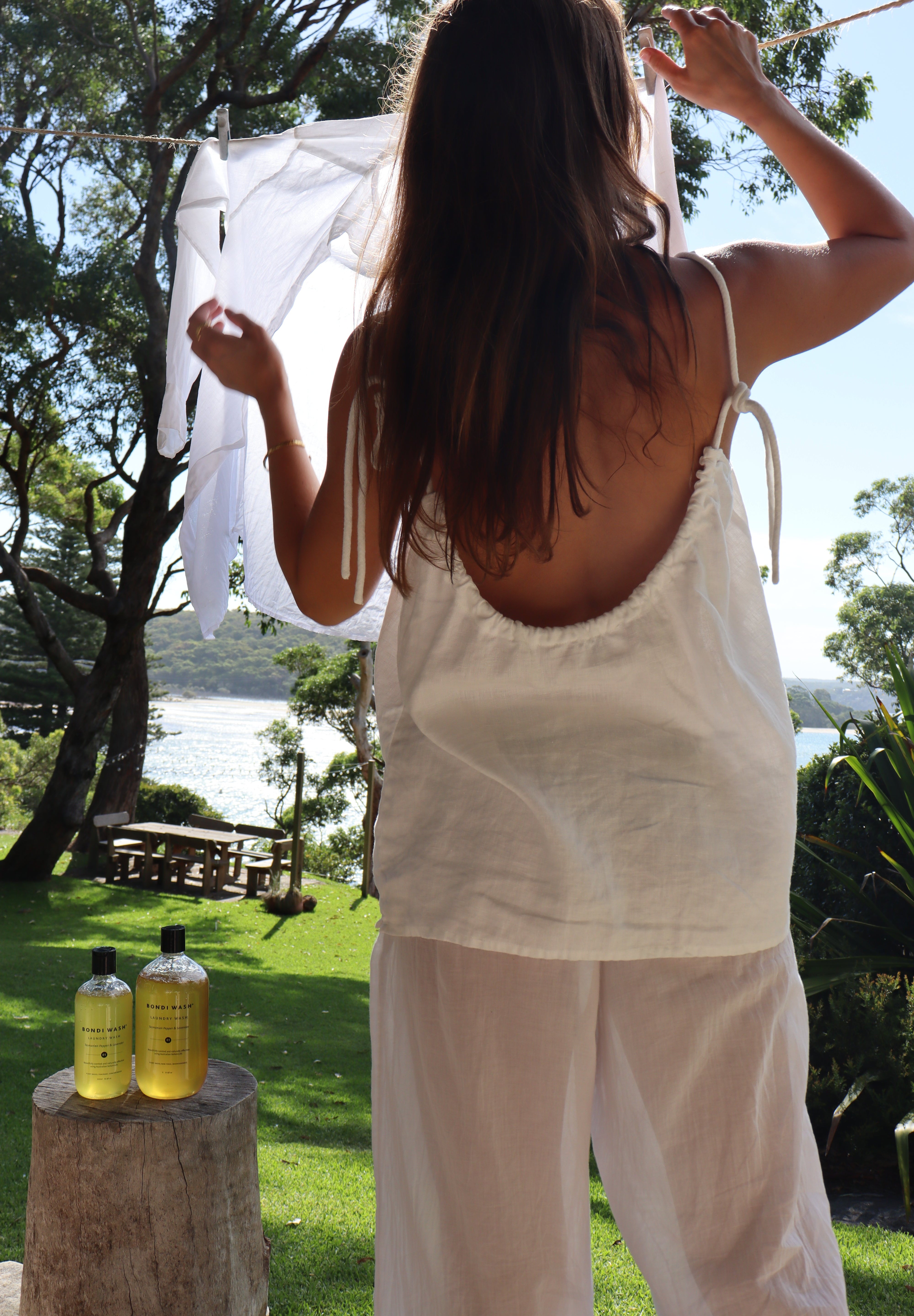 BEFORE THE HORSE ARRIVES