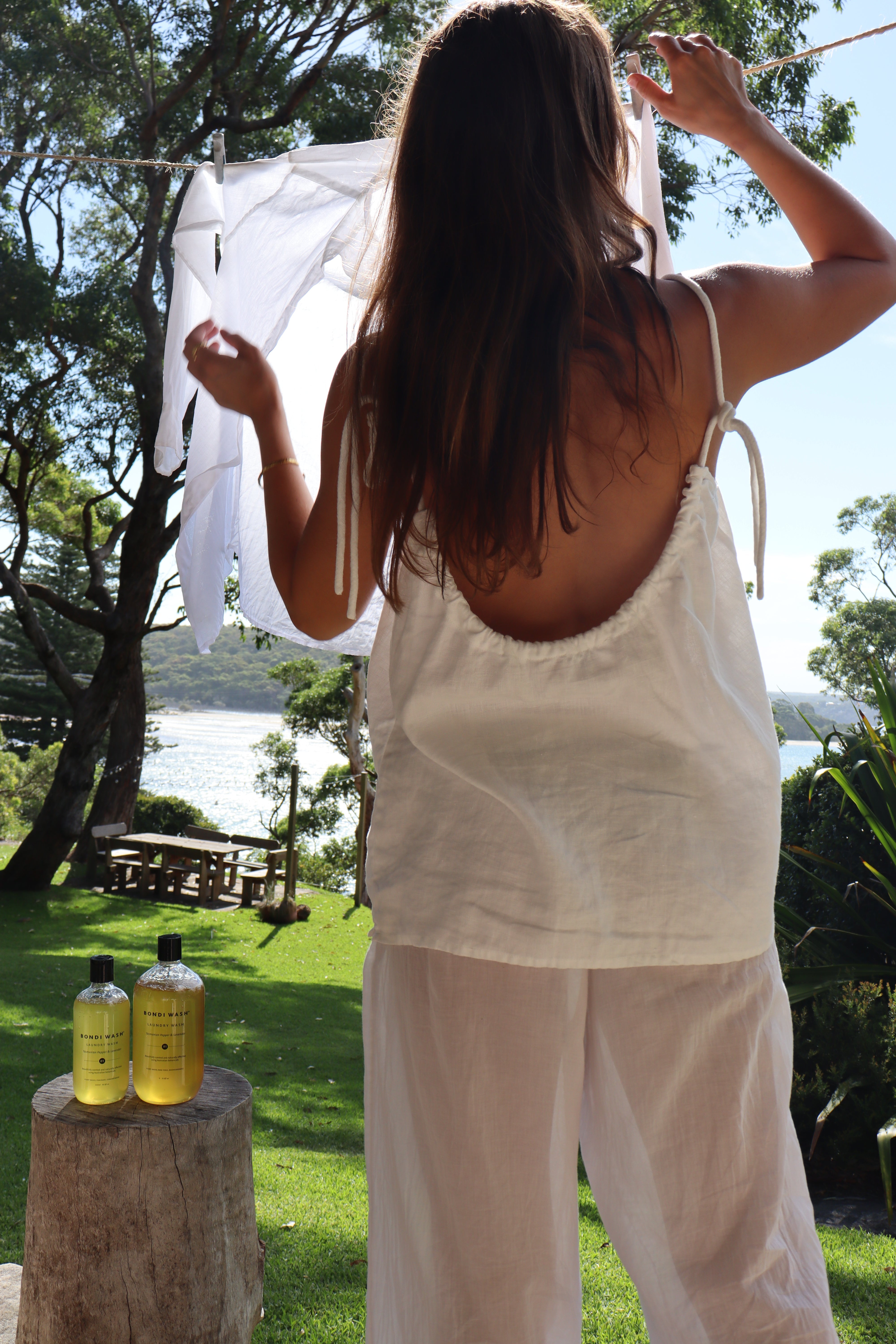 BEFORE THE HORSE ARRIVES