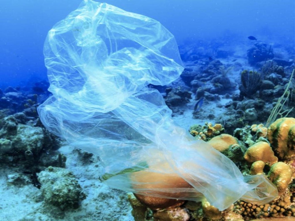 Is biodegradable plastic the answer