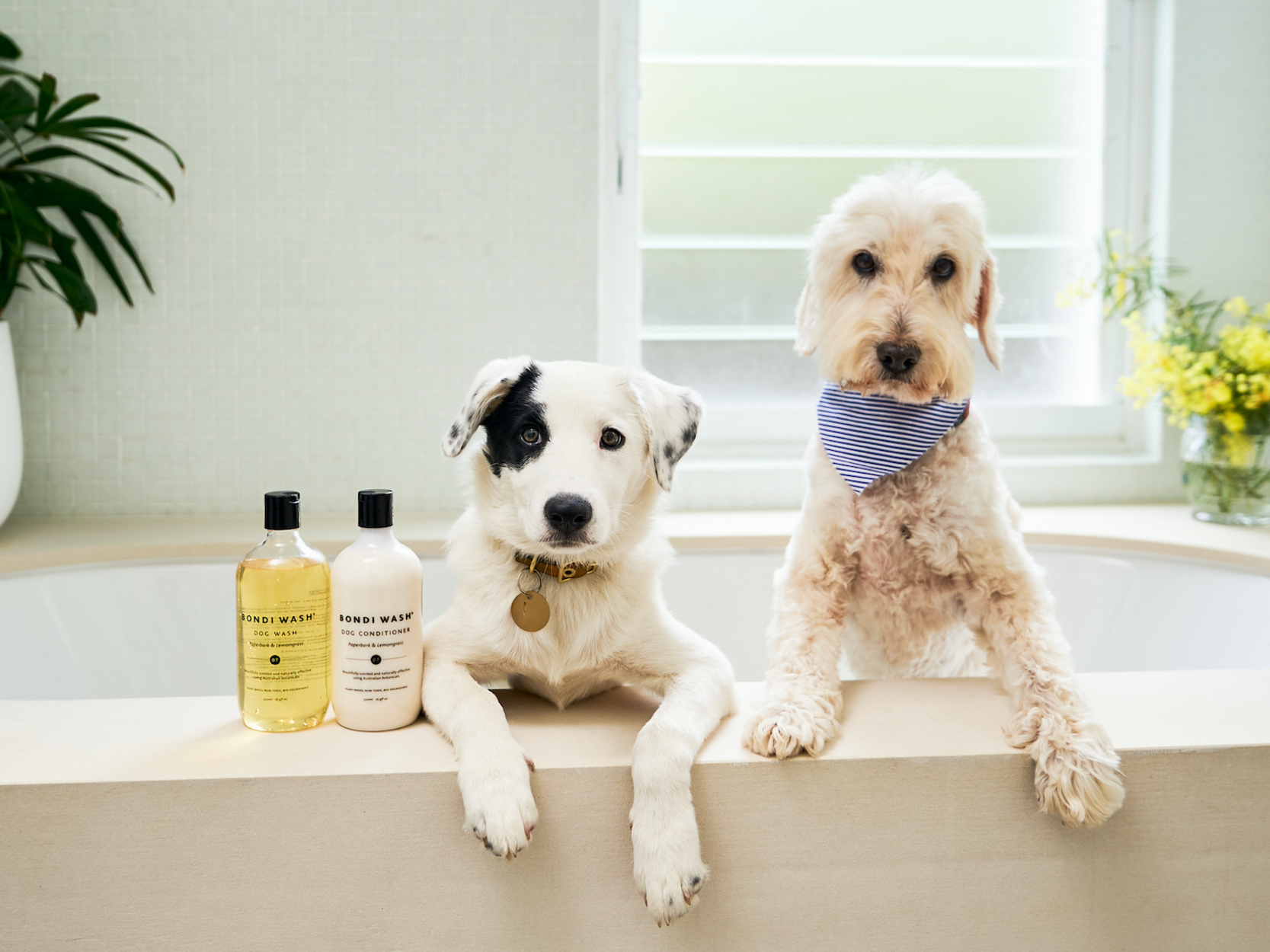 BONDI WASH PETS